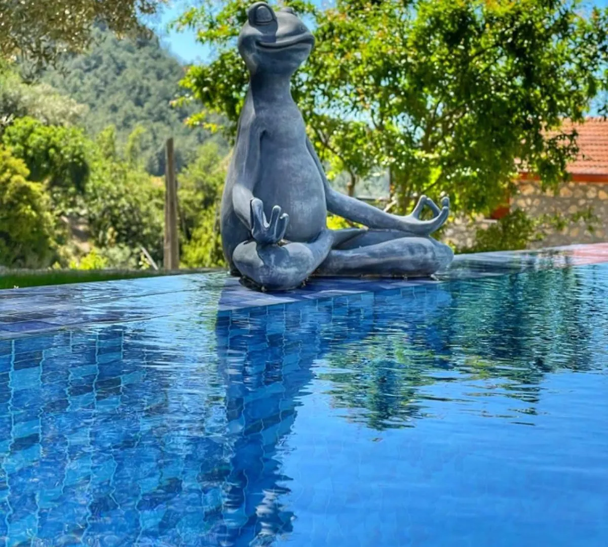 Hayat Agaci Villas Uzumlu